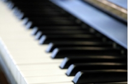 p1.jpg